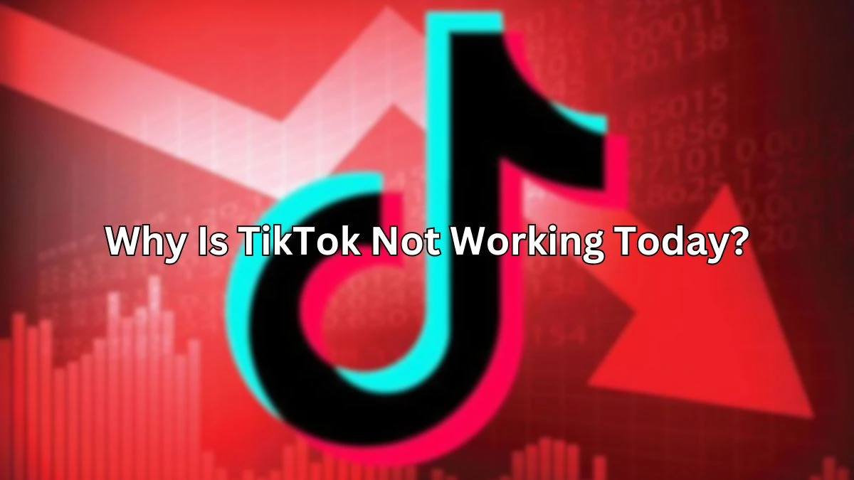 Why Is TikTok Not Working Today? TikTok Comments Not Loading