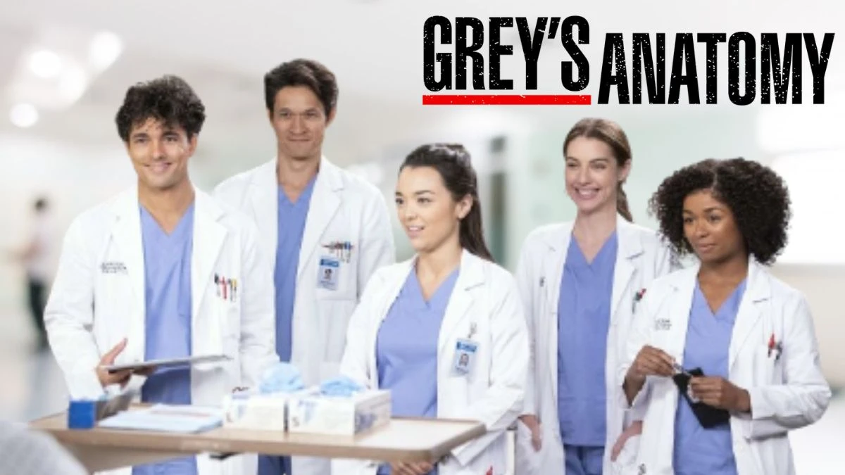 Will There Be a Season 21 of Grey's Anatomy? Cast, Release Date and More