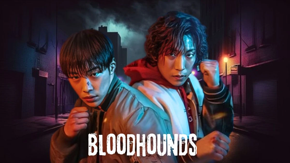 Will There Be Bloodhounds Kdrama Season 2? Check Here