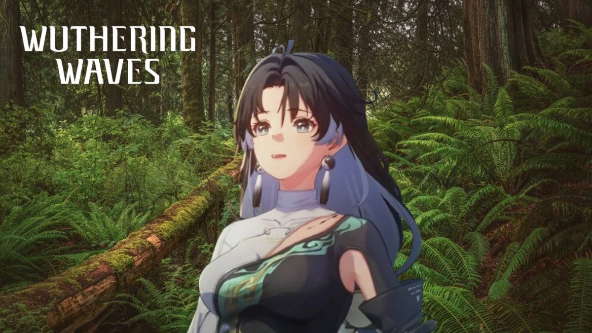 Wuthering Waves 1.1 Release Date, Key Compensations in Wuthering Waves Patch 1.1