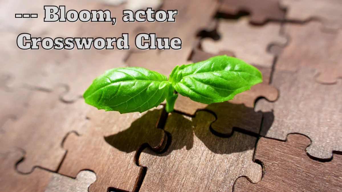 --- Bloom, actor NYT Crossword Clue Answer on July 13, 2024