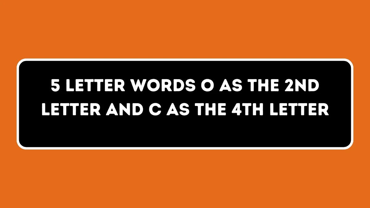 5 Letter Words O as the 2nd Letter and C as the 4th Letter All Words List