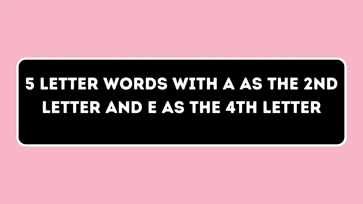 5 Letter Words with A as the 2nd Letter and E as the 4th Letter All Words List