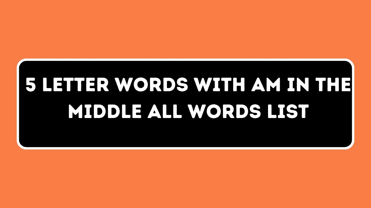 5 Letter Words With AM in the Middle All Words List