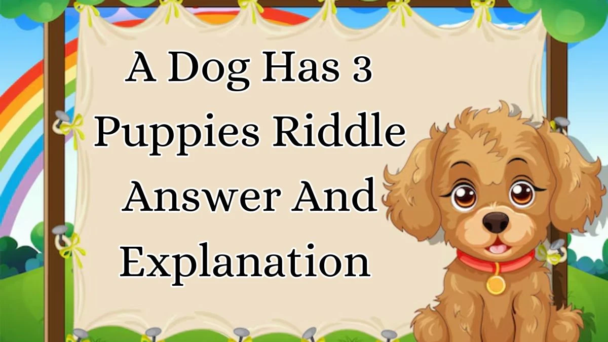 A Dog Has 3 Puppies Named Sunday Riddle Answer And Explanation