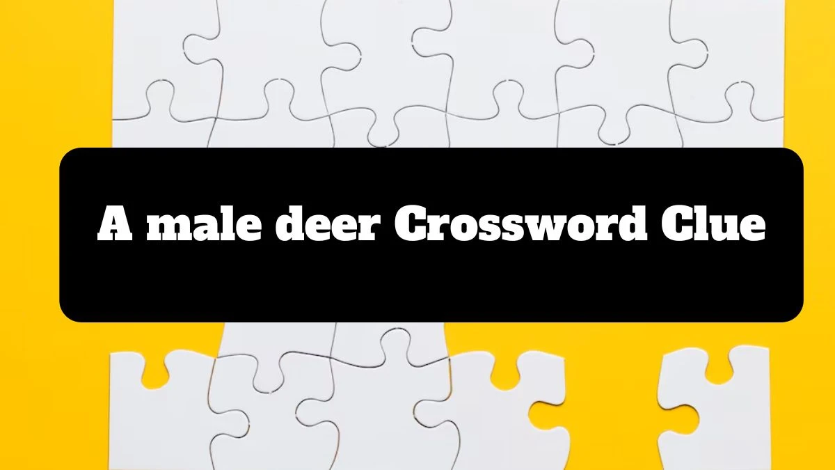 A male deer Crossword Clue Puzzle Answer from July 16, 2024