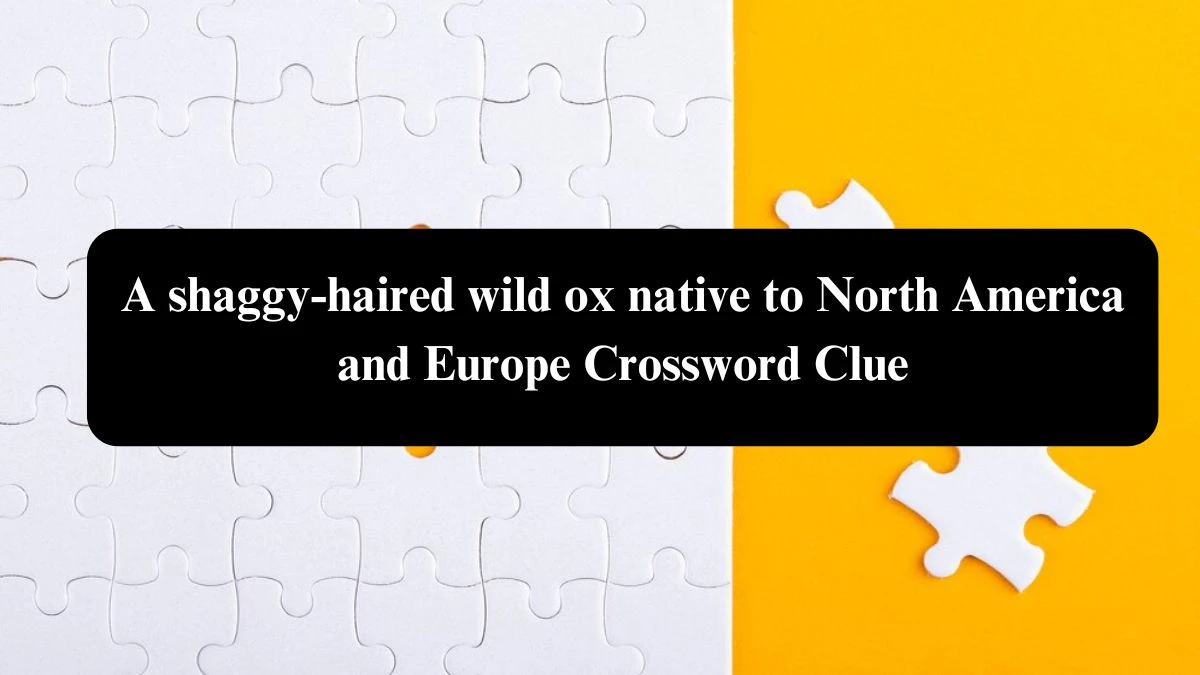 A shaggy-haired wild ox native to North America and Europe Crossword Clue Puzzle Answer from August 01, 2024