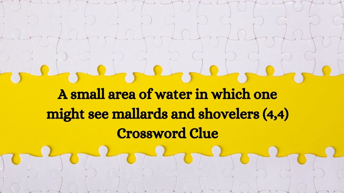 A small area of water in which one might see mallards and shovelers (4,4) Crossword Clue Answers on July 23, 2024