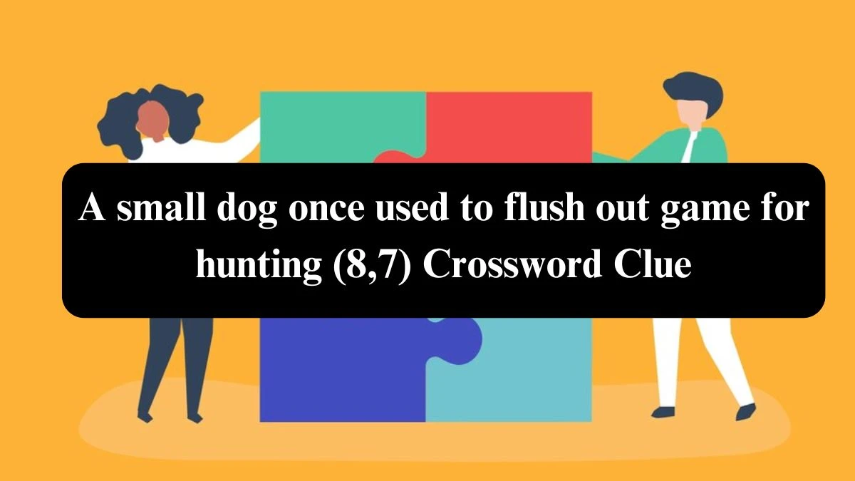 A small dog once used to flush out game for hunting (8,7) Crossword Clue Puzzle Answer from August 01, 2024