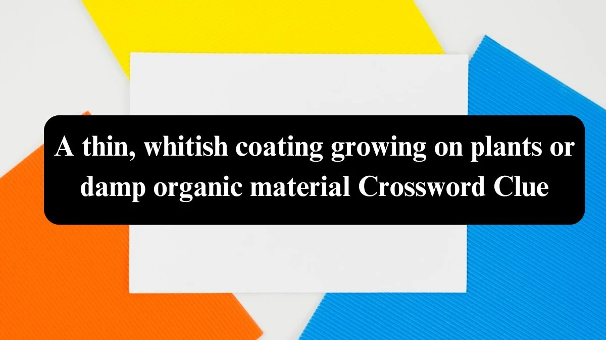 A thin, whitish coating growing on plants or damp organic material Crossword Clue Puzzle Answer from July 22, 2024