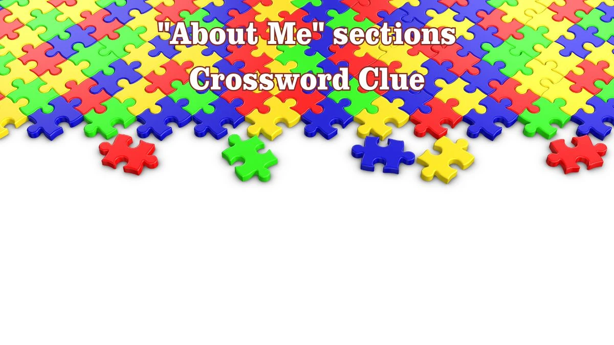 About Me sections Crossword Clue Puzzle Answer from July 28, 2024