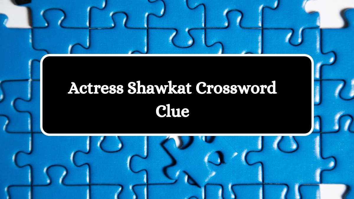 Actress Shawkat LA Times Crossword Clue Puzzle Answer from July 09, 2024