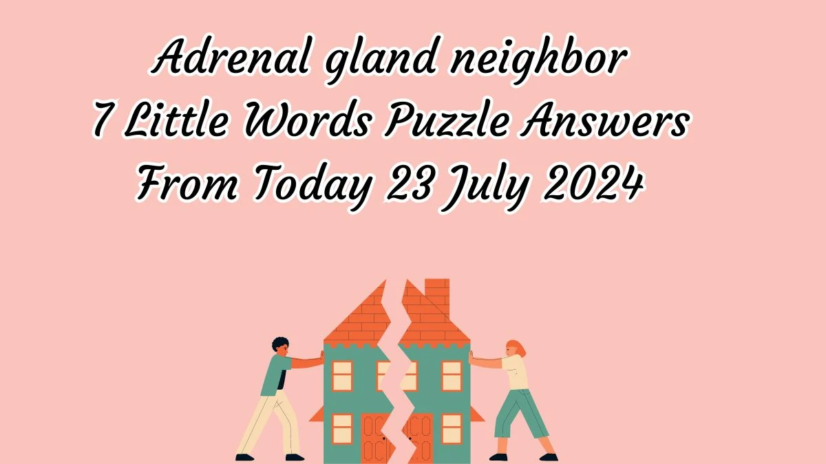 Adrenal gland neighbor 7 Little Words Puzzle Answer from July 23, 2024