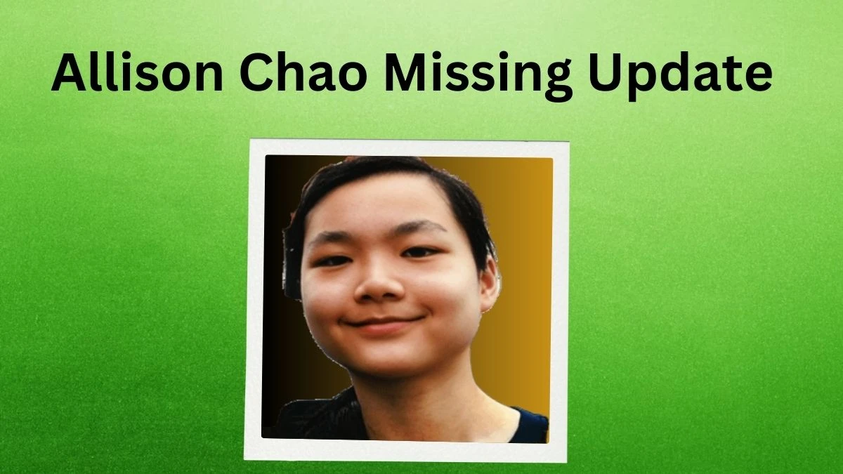 Allison Chao Missing Update, What Happened to Allison Chao?