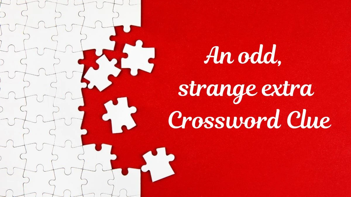 An odd, strange extra (3,2) Crossword Clue Answers on July 30, 2024