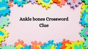 Ankle bones NYT Crossword Clue Puzzle Answer on July 30, 2024