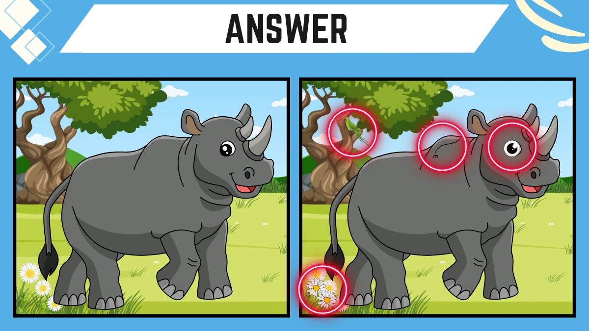 Spot the 4 Differences: Only highly attentive eyes can spot the 4 Differences in this Rhino Image in 12 Secs| Picture Puzzle Game