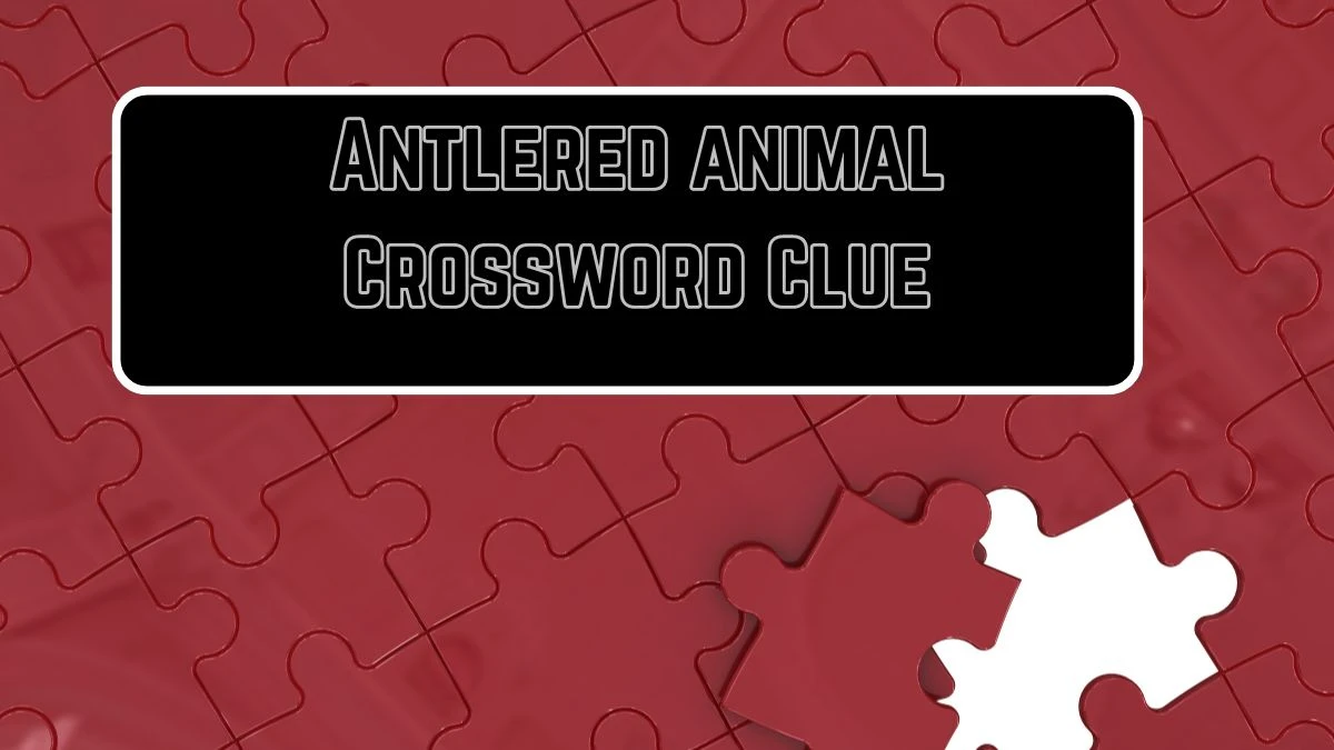 Antlered animal Daily Themed Crossword Clue Answers on August 30, 2024