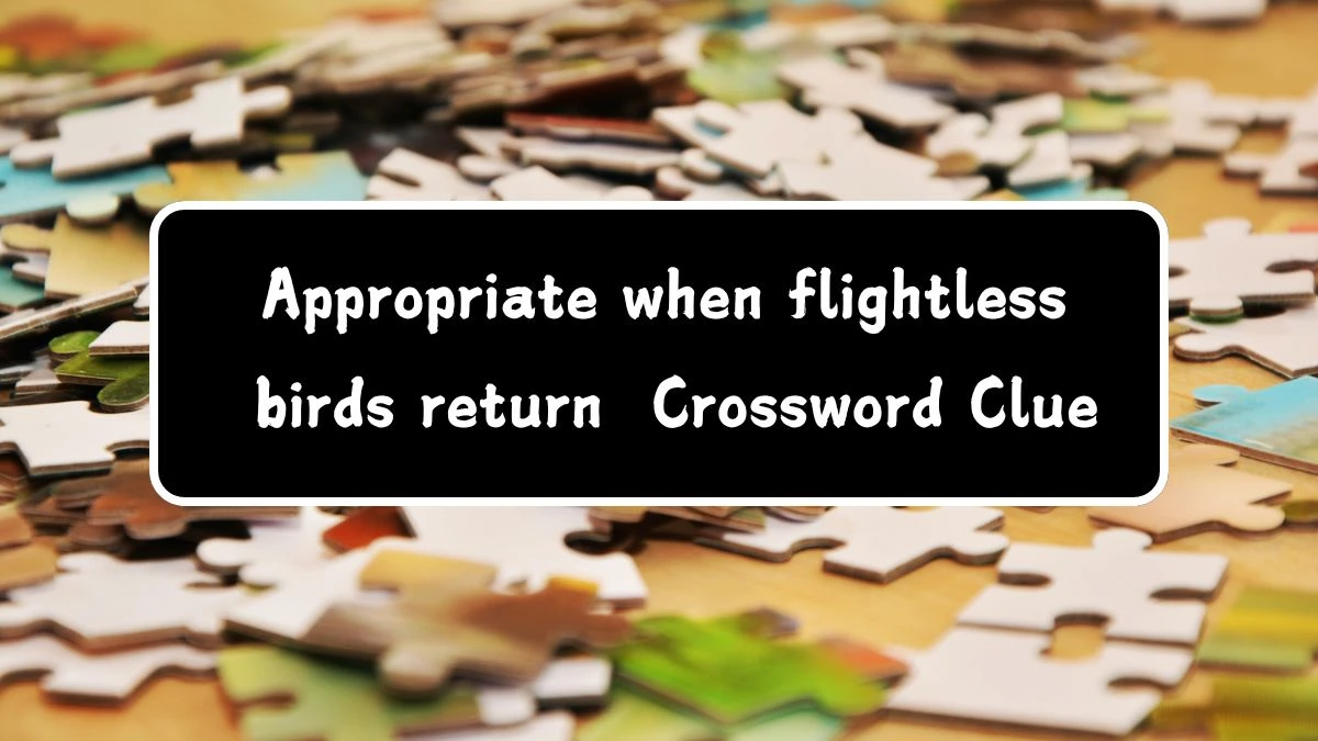 Appropriate when flightless birds return Crossword Clue Puzzle Answer from July 13, 2024