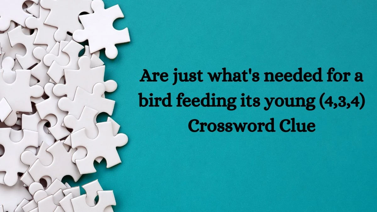 Are just what #39 s needed for a bird feeding its young (4 3 4) Crossword Are just what #39 s needed for a bird feeding its young (4 3 4) Crossword
