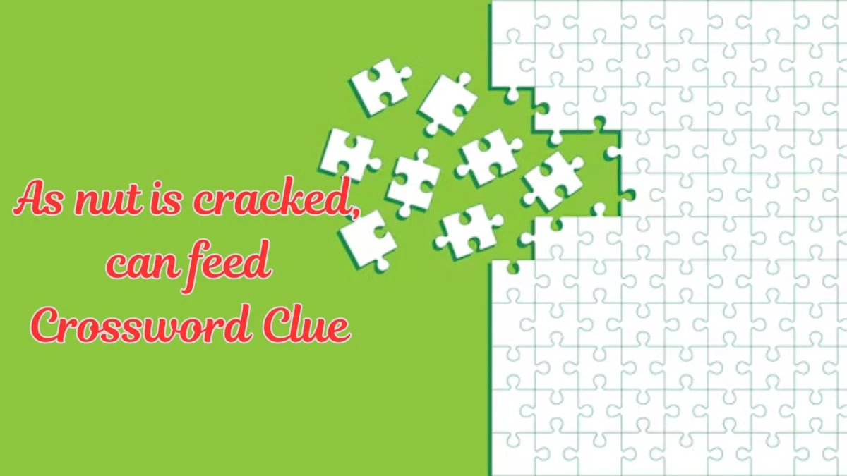 As nut is cracked, can feed Crossword Clue Puzzle Answer from July 19, 2024