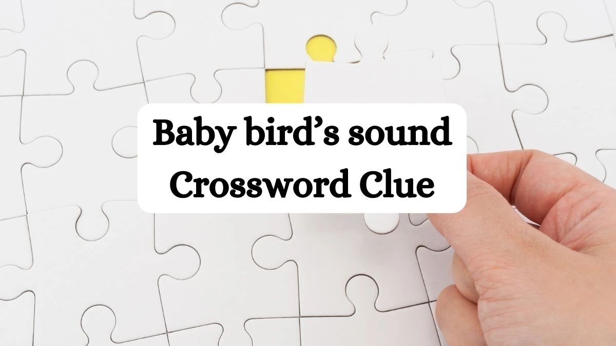 NYT Baby bird’s sound Crossword Clue Puzzle Answer from July 01, 2024