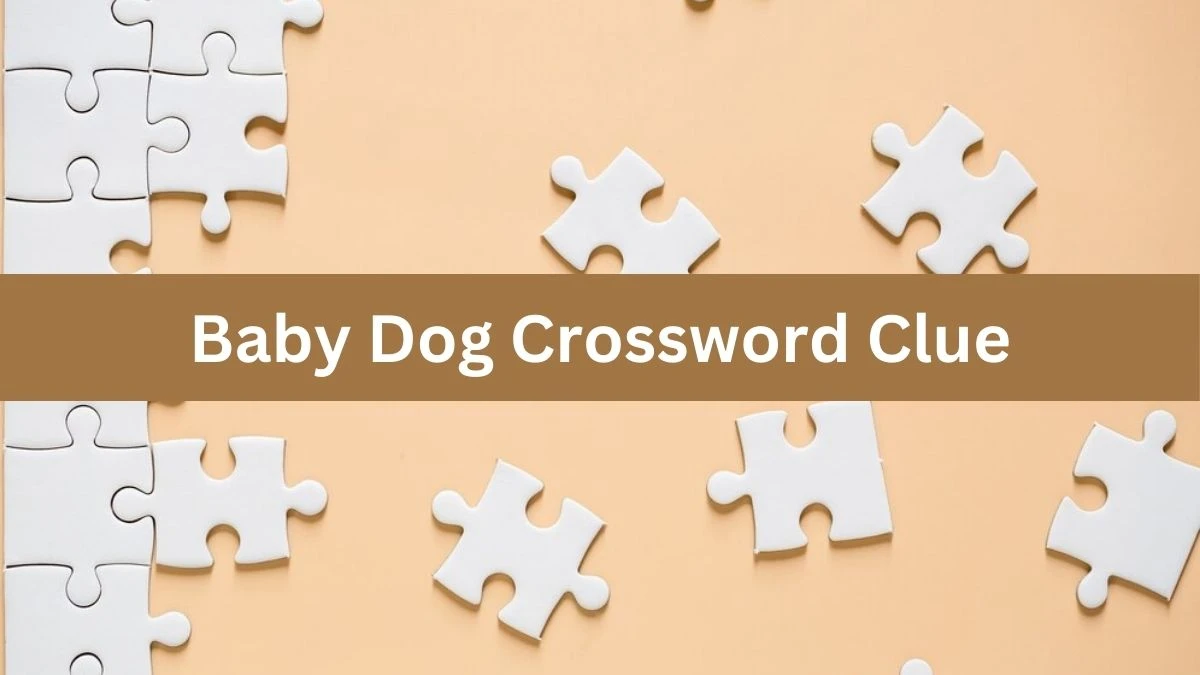 USA Today Baby Dog Crossword Clue Puzzle Answer from July 08, 2024