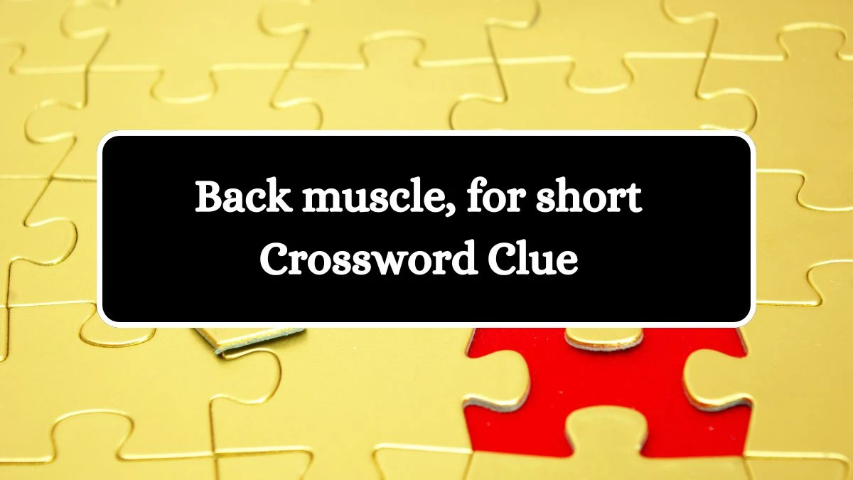 USA Today Back muscle, for short Crossword Clue Puzzle Answer from July 22, 2024