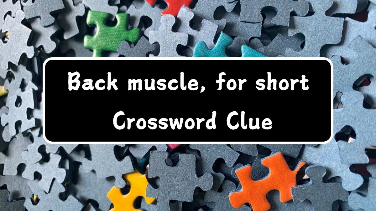 Daily Themed Back muscle, for short Crossword Clue Puzzle Answer from July 28, 2024