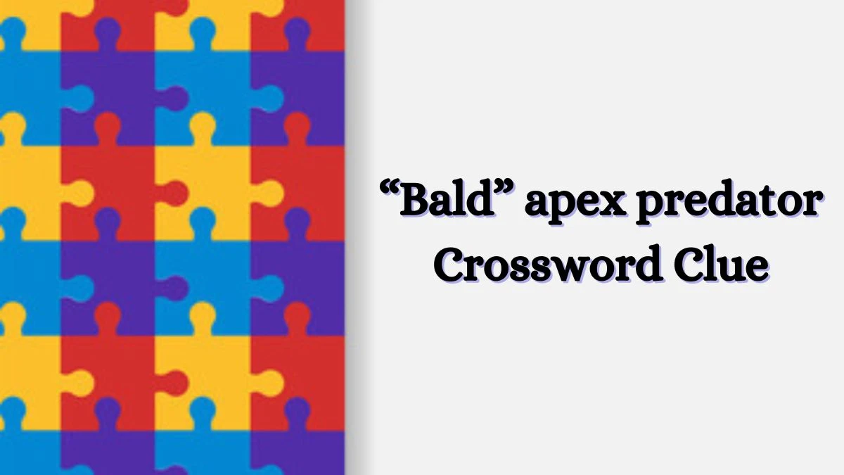 USA Today “Bald” apex predator Crossword Clue Puzzle Answer from July 01, 2024