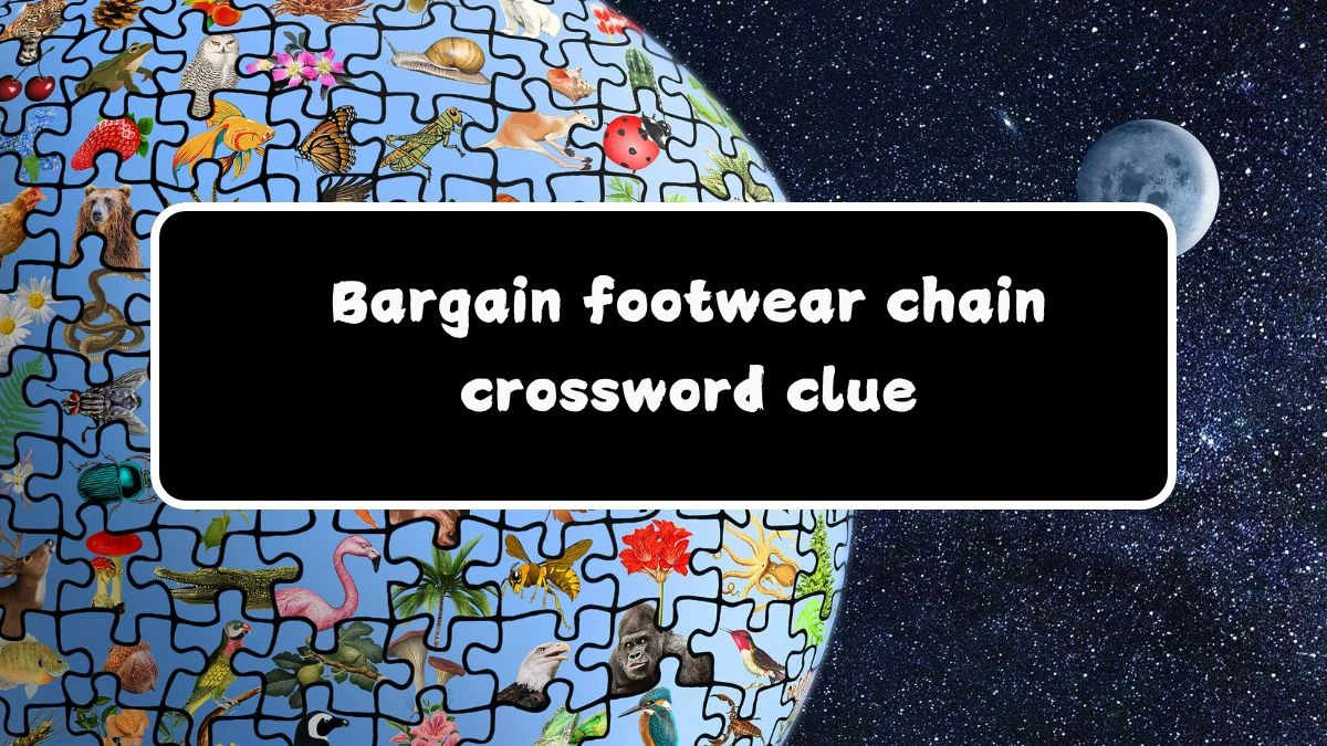 LA Times Bargain footwear chain Crossword Clue Puzzle Answer from July 26, 2024