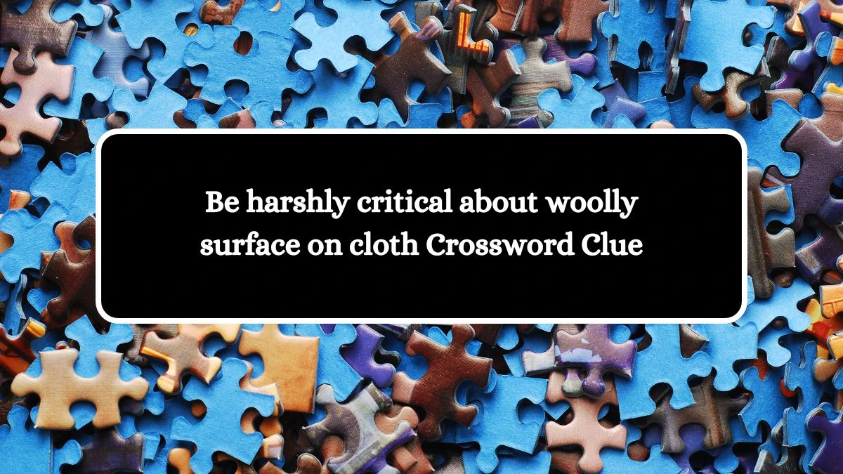 Be harshly critical about woolly surface on cloth Crossword Clue