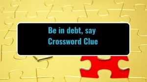 Be in debt, say Daily Themed Crossword Clue Answers on July 29, 2024