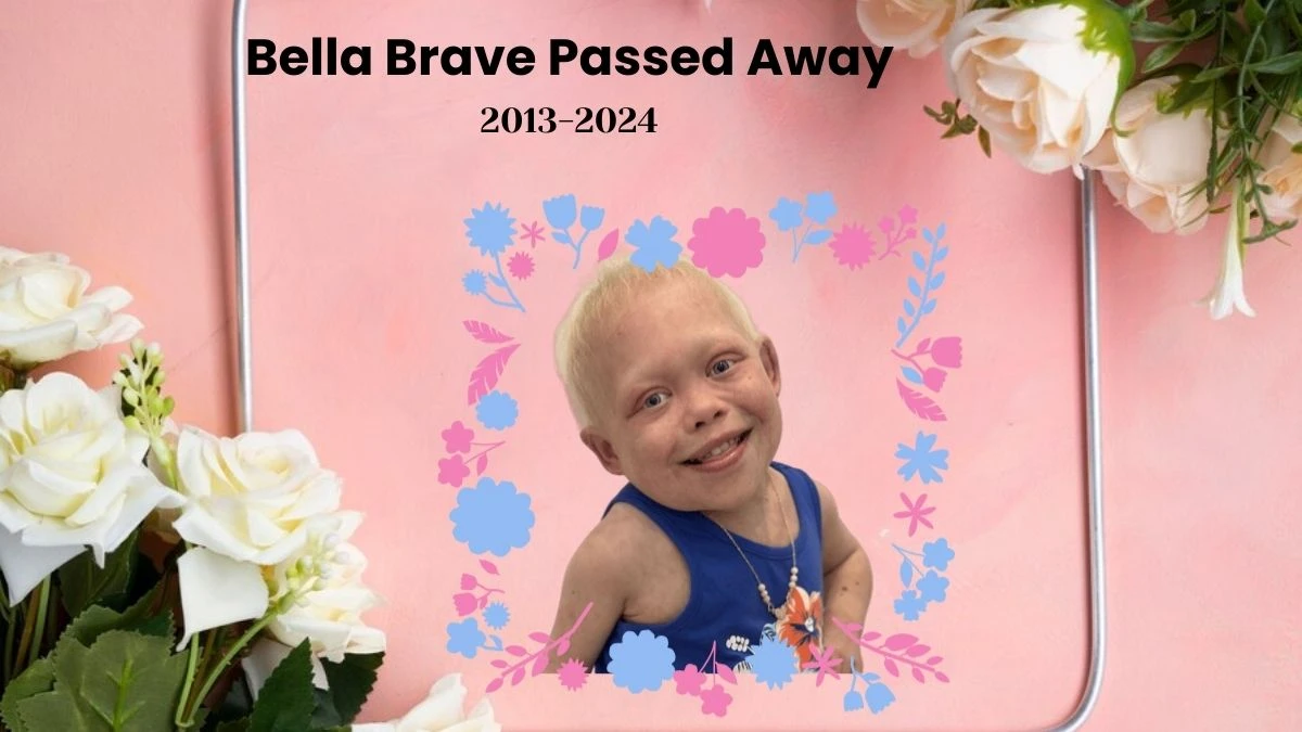 Bella Brave Passed Away What Happened to Bella Brave? How Did Bella