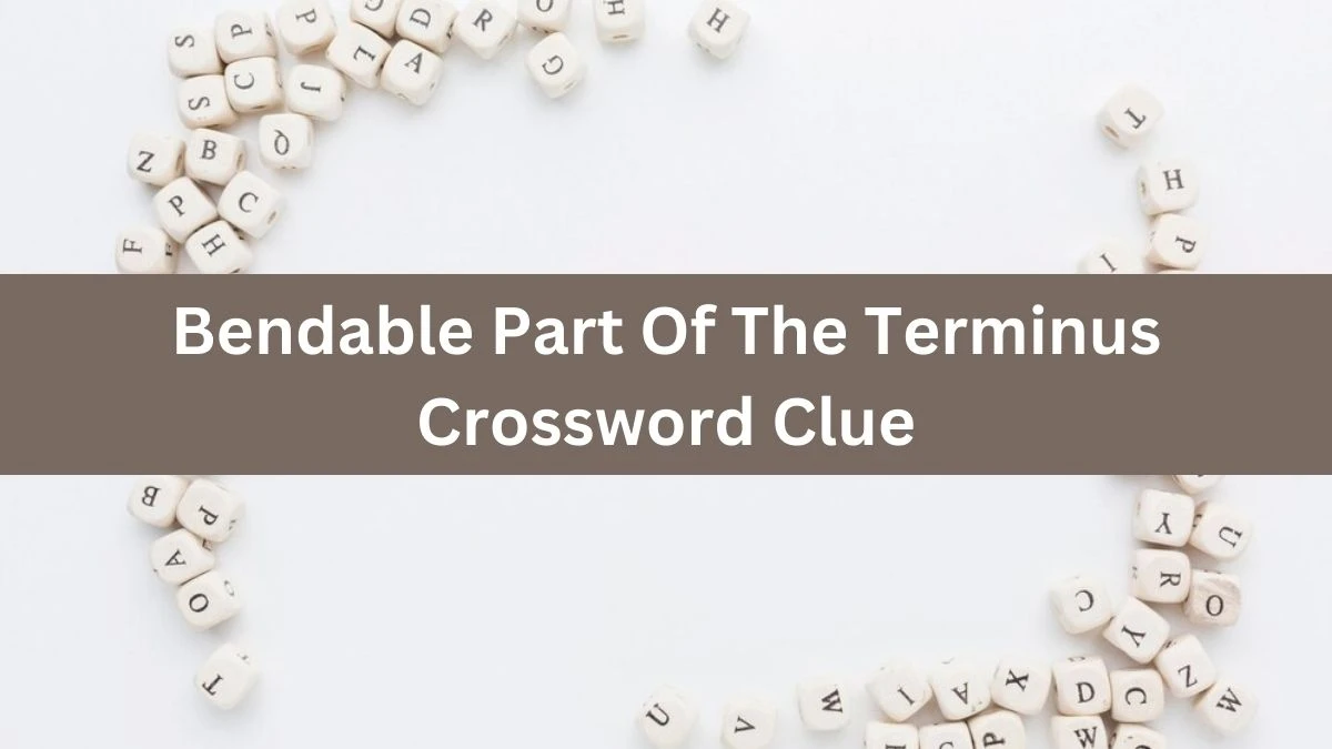 Bendable Part Of The Terminus Crossword Clue Puzzle Answer from July 17, 2024