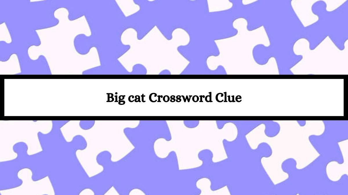 Irish Daily Mail Quick Big cat Crossword Clue 4 Letters Puzzle Answer from July 16, 2024