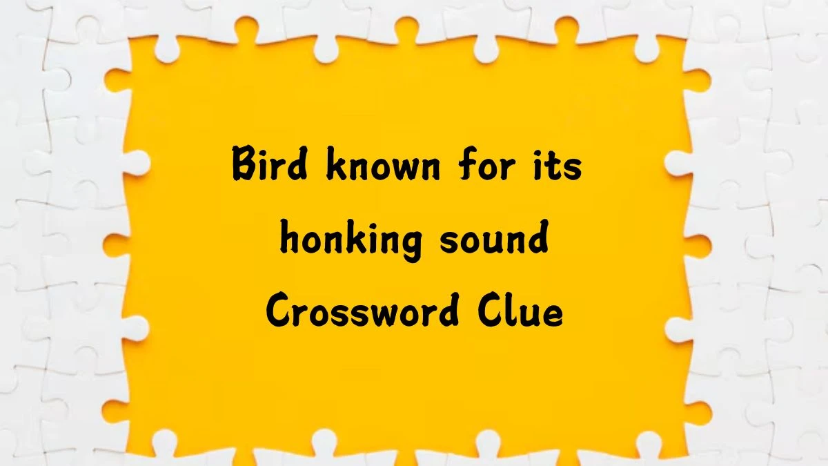 Bird known for its honking sound Daily Themed Crossword Clue Puzzle Answer from July 19, 2024