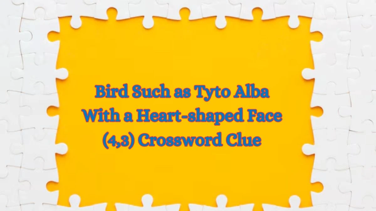 Bird Such as Tyto Alba With a Heart-shaped Face (4,3) Crossword Clue Puzzle Answer from July 03, 2024