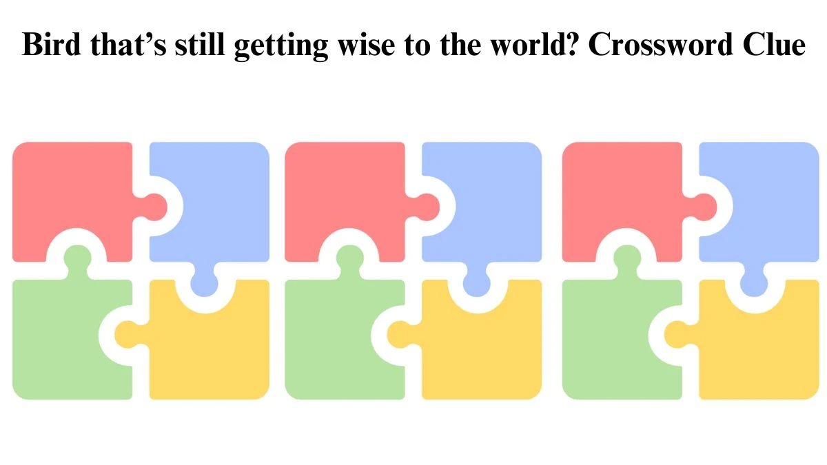 Bird that’s still getting wise to the world? NYT Crossword Clue Answer on July 22, 2024