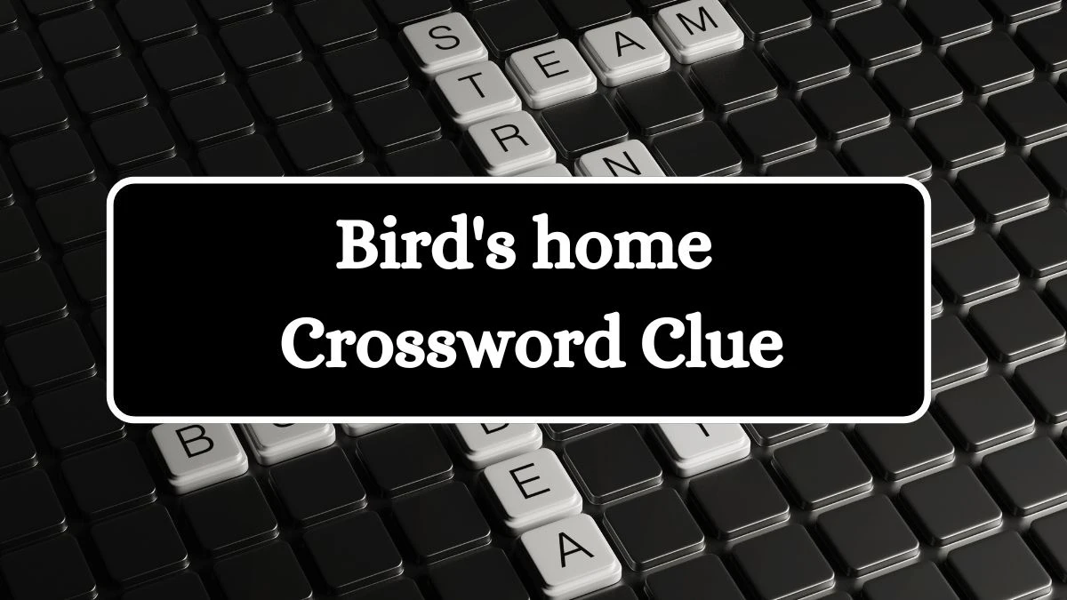 Bird's home Daily Commuter Crossword Clue Puzzle Answer from July 16, 2024