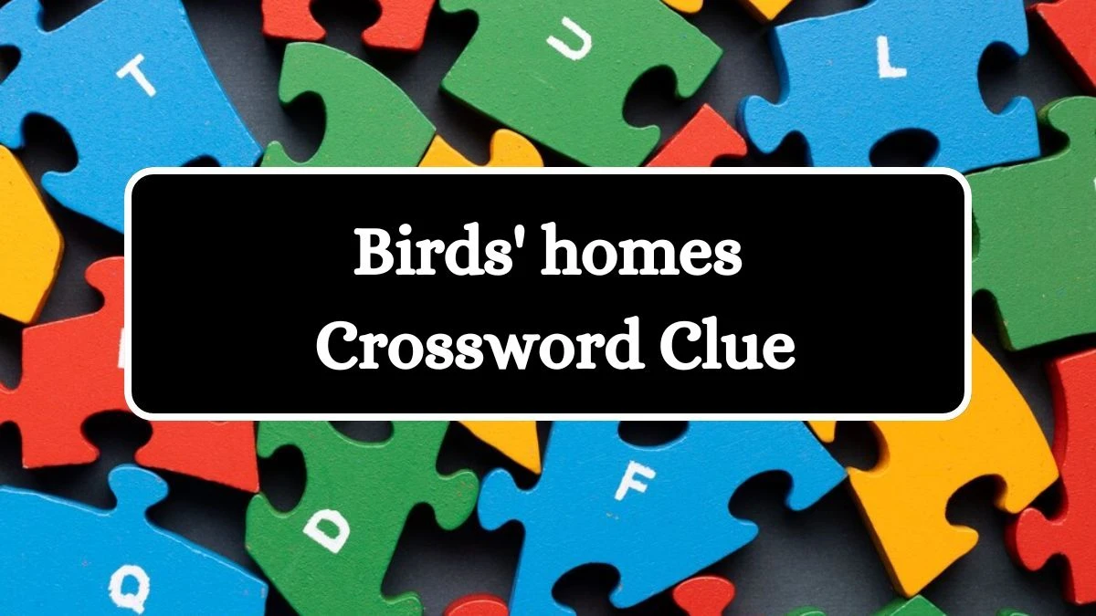 Birds' homes Daily Commuter Crossword Clue Answers on July 23, 2024