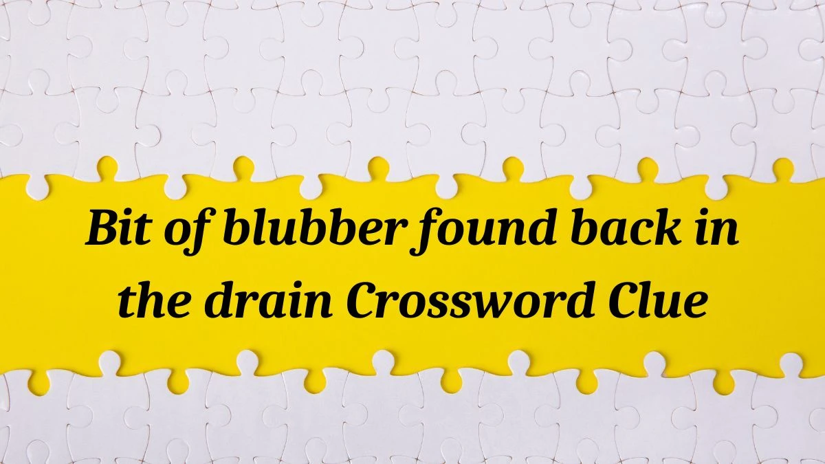 Bit of blubber found back in the drain (3) Crossword Clue Puzzle Answer from July 04, 2024