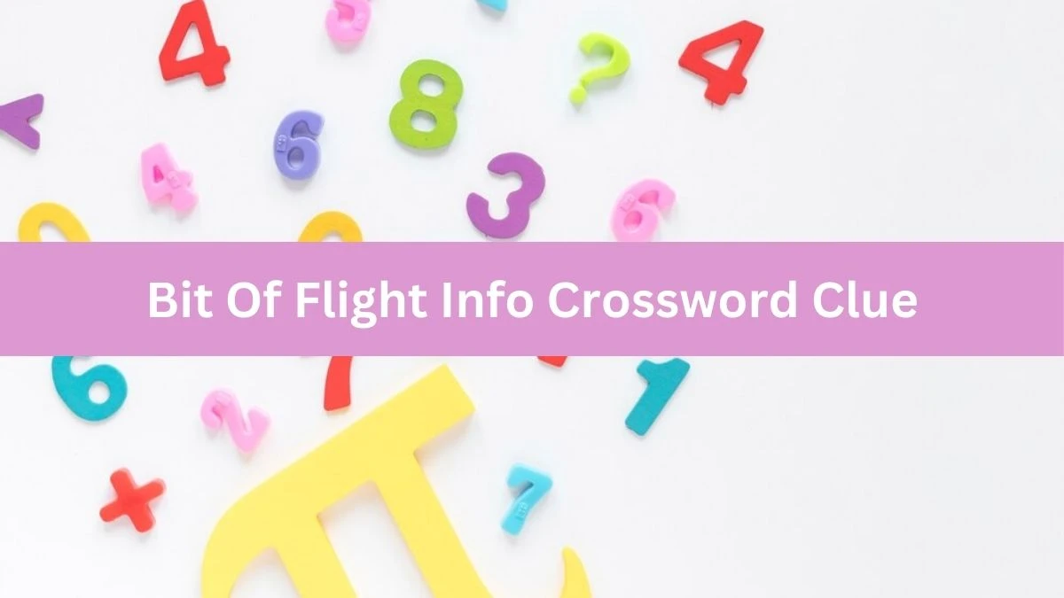 Bit Of Flight Info NYT Crossword Clue Puzzle Answer from July 18, 2024