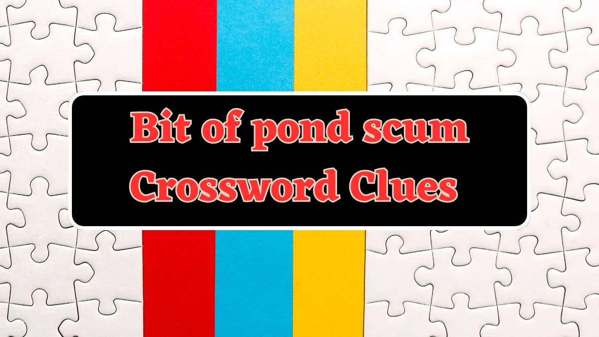 UNIVERSAL Bit of pond scum Crossword Clue Answers on July 21, 2024