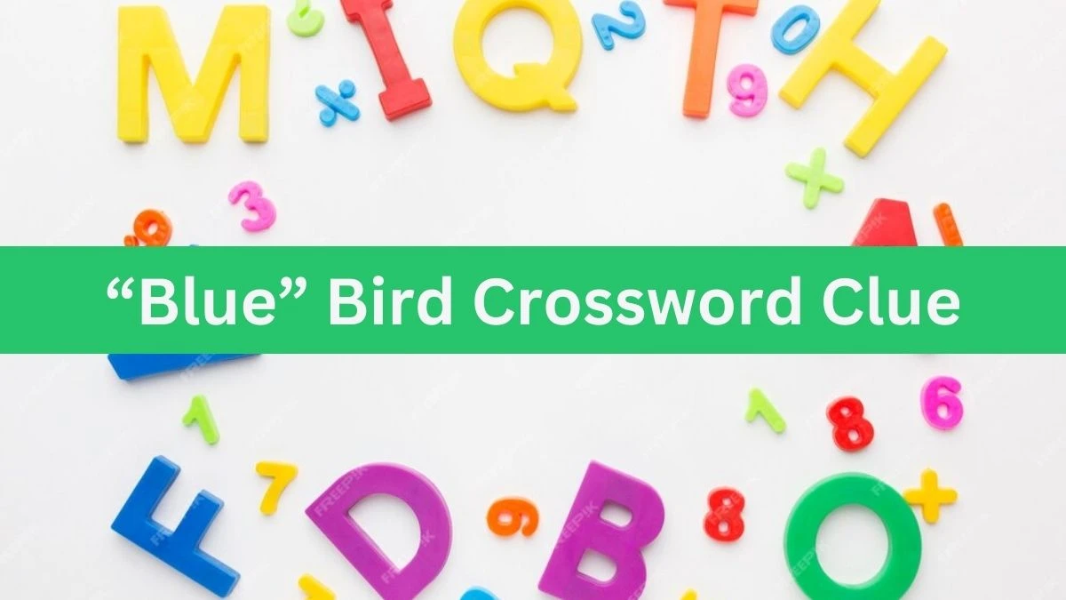 Universal “Blue” Bird Crossword Clue Puzzle Answer from July 20, 2024