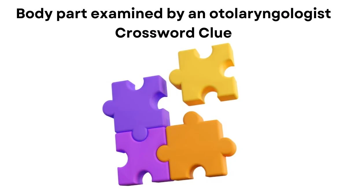 LA Times Body part examined by an otolaryngologist Crossword Clue Puzzle Answer from July 24, 2024