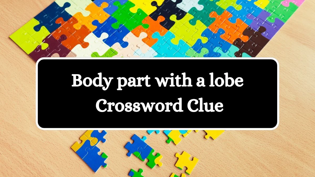 Body part with a lobe Daily Commuter Crossword Clue Answers on July 22, 2024