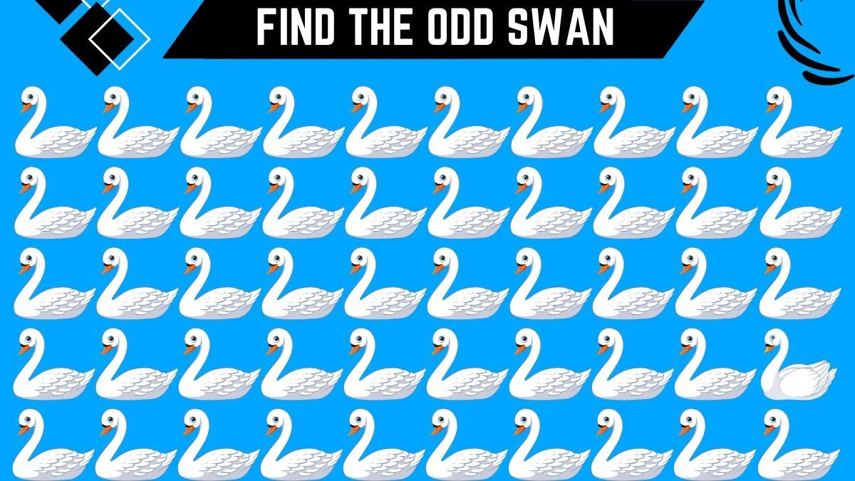 Brain Teaser Odd One Out Puzzle: Only X- Ray Vision People Can Spot the Odd Swan in 6 Secs