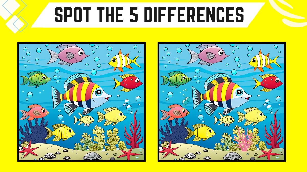 Brain Teaser Spot the Difference Game: Only people with Eagle eyes can spot 5 differences in this Ocean Image in 15 Secs