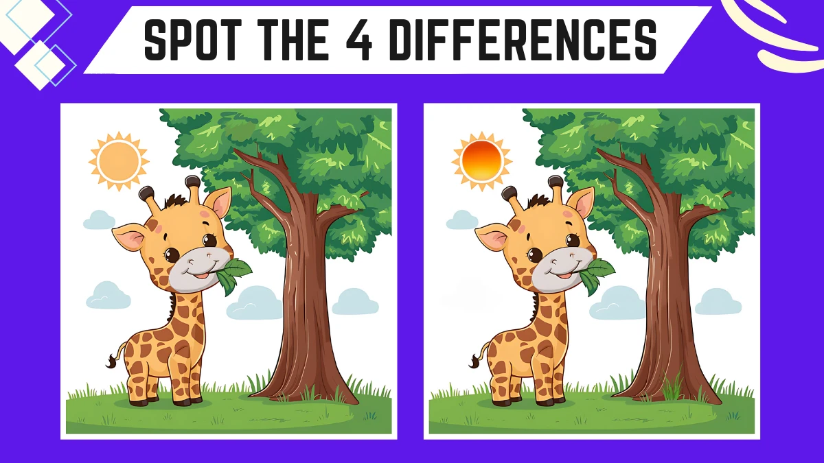 Brain Teasing Spot the Difference Game: Only people with sharp eyes can spot 3 differences in this Image in 9 Secs